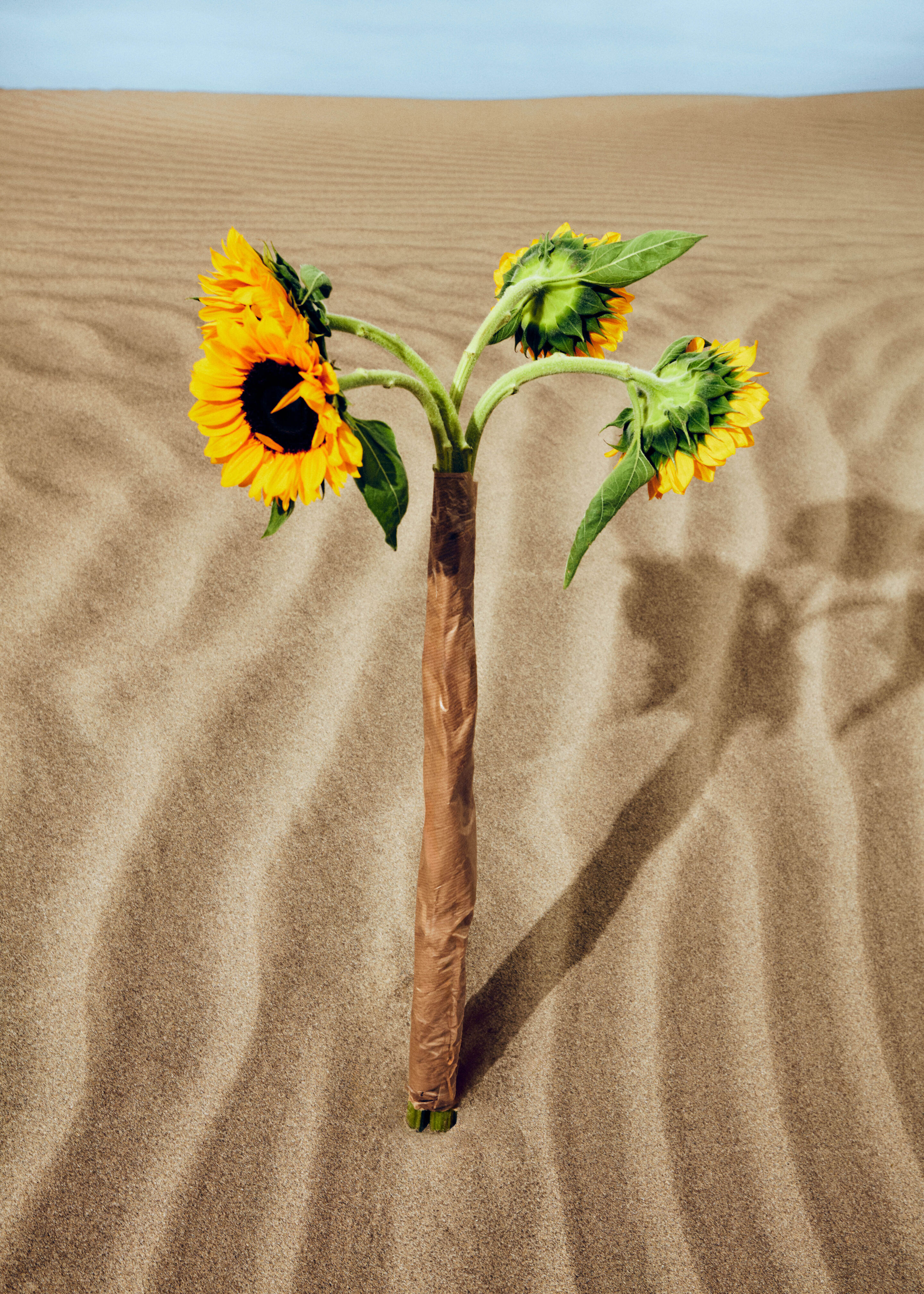 Kenzo kindermode voor meisjes en jongens: bloemenlooks met zonnebloemen, kleurrijke premium en luxe mode bij Kidsaround