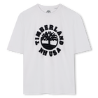 T-shirt met korte mouwen TIMBERLAND 
                    BOY