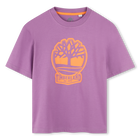 Tweekleurig T-shirt met logo, FRAMBOOS, hi-res