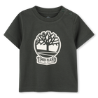 T-shirt met korte mouwen TIMBERLAND 
                    BOY