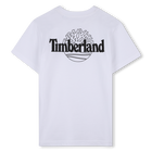 T-shirt met korte mouwen TIMBERLAND 
                    BOY