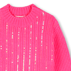Trui BILLIEBLUSH 
                    GIRL