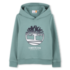 SWEATER MET KAP, MOS GROEN, hi-res