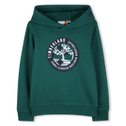 SWEATER MET KAP, DONKERGROEN, hi-res