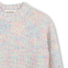 Trui BILLIEBLUSH 
                    GIRL