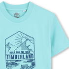 T-shirt met korte mouwen TIMBERLAND 
                    BOY
