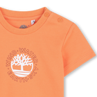 T-shirt met korte mouwen TIMBERLAND 
                    BOY