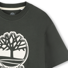 Tweekleurig T-shirt met logo TIMBERLAND 
                    BOY