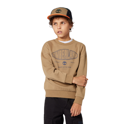 Sweatshirt van geborstelde fleece TIMBERLAND BOY