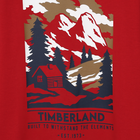 T-shirt met lange mouwen TIMBERLAND 
                    BOY