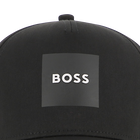 Pet BOSS 
                    BOY