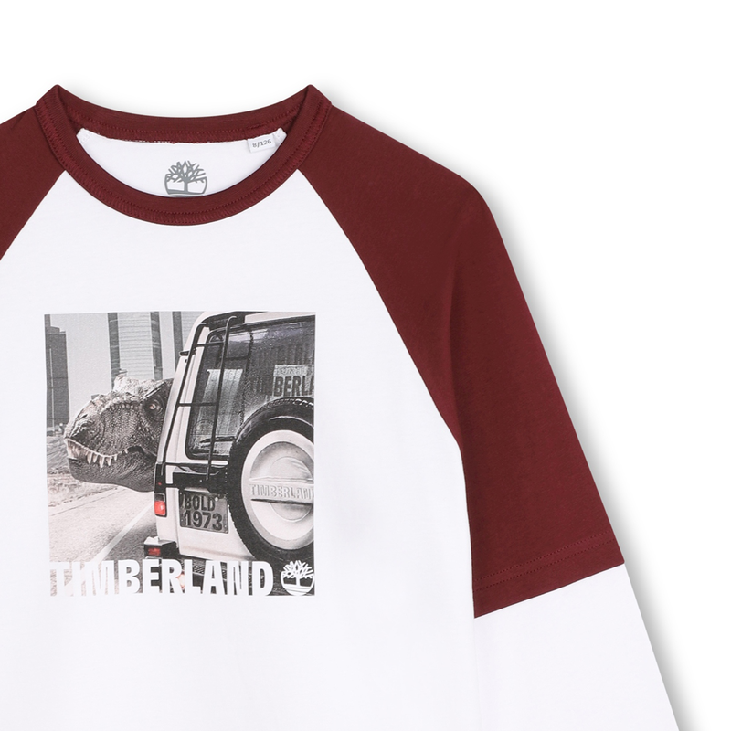 Tweekleurig T-shirt met print TIMBERLAND 
                        BOY