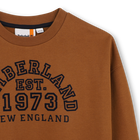 Sweater TIMBERLAND 
                    BOY