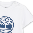 T-shirt met korte mouwen TIMBERLAND 
                    BOY